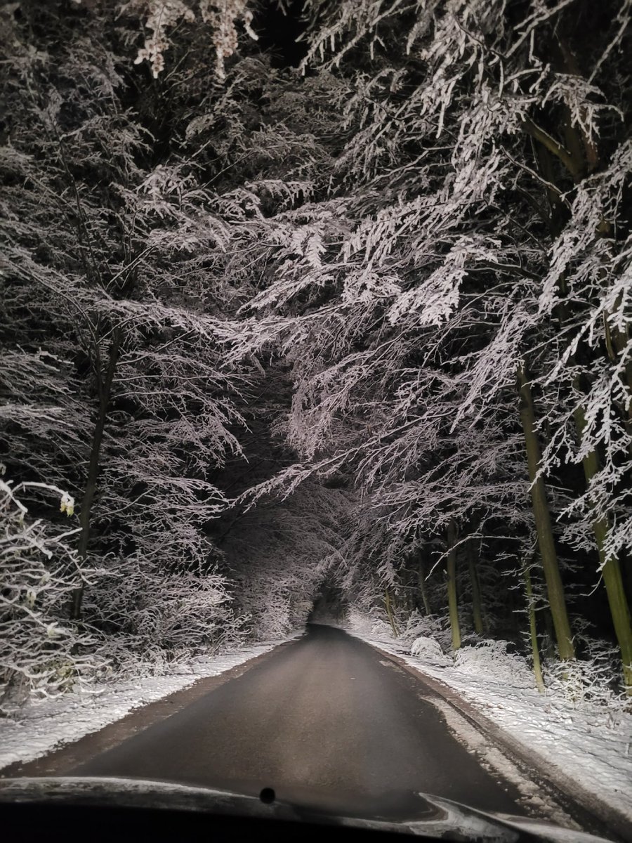 taką drogą jechaliśmy dzisiaj na herbatkę u babci 🤍 magia!