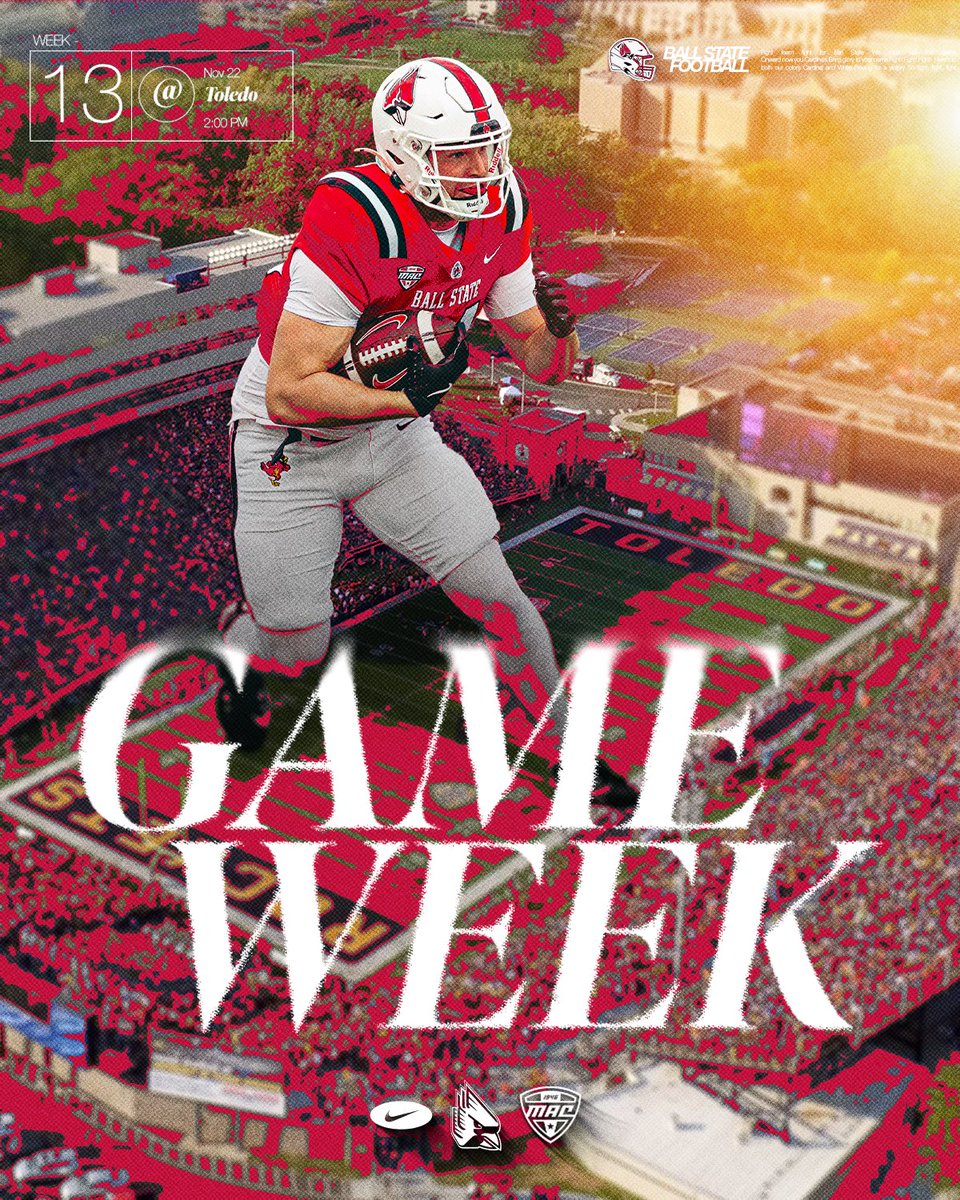 Sam Findley tweet media