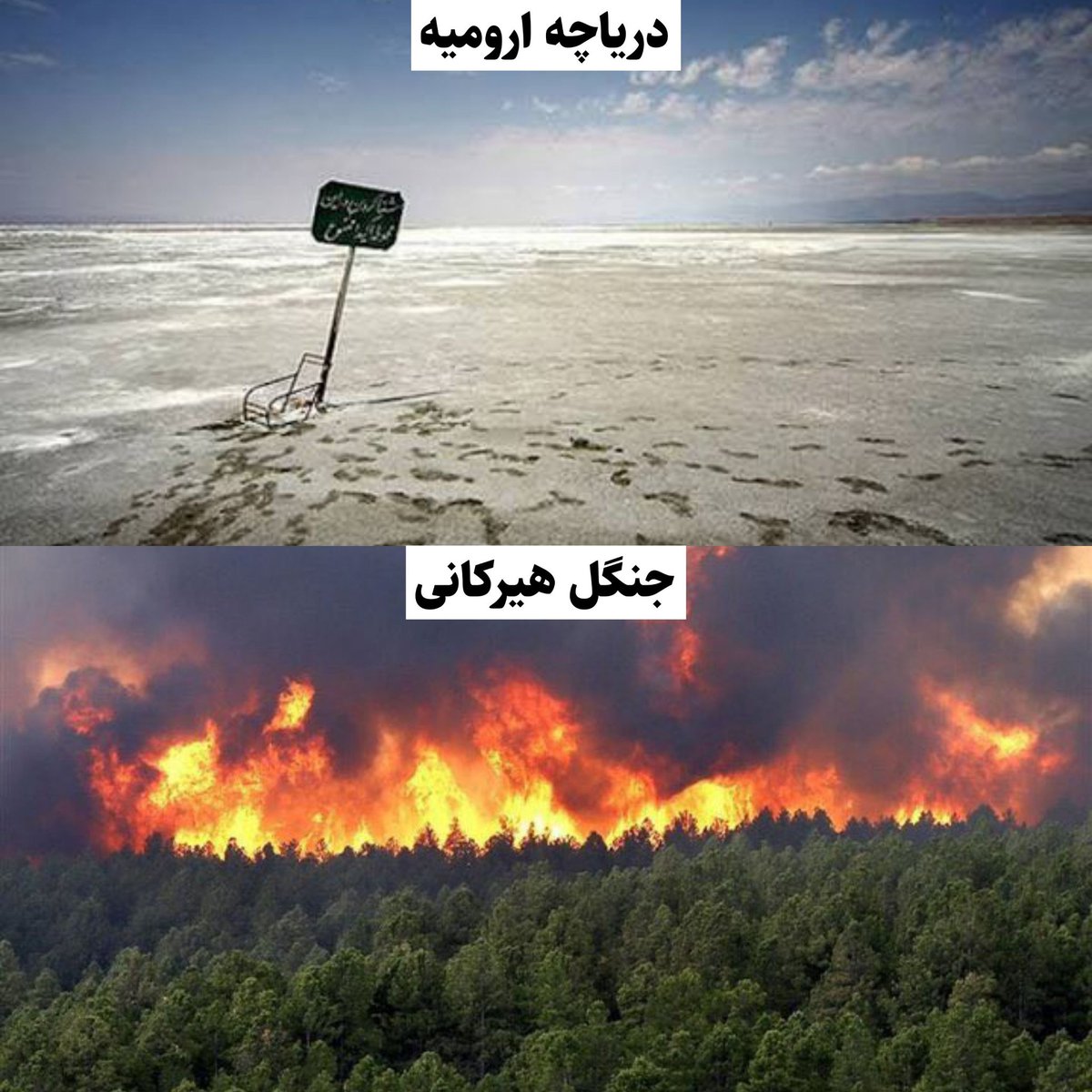 IMbeatreas's tweet image. محیط زیست هم از دست آخوندا در امان نیست
#جنگل_هیرکانی