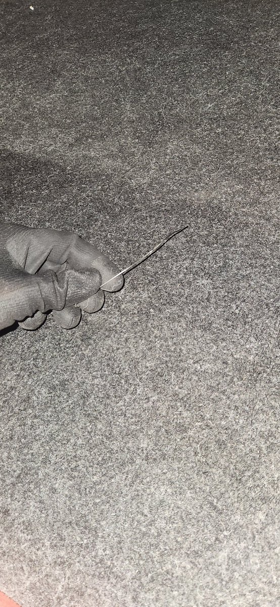 sfharmonization's tweet image. you in her dms im teaching her things her father shouldve