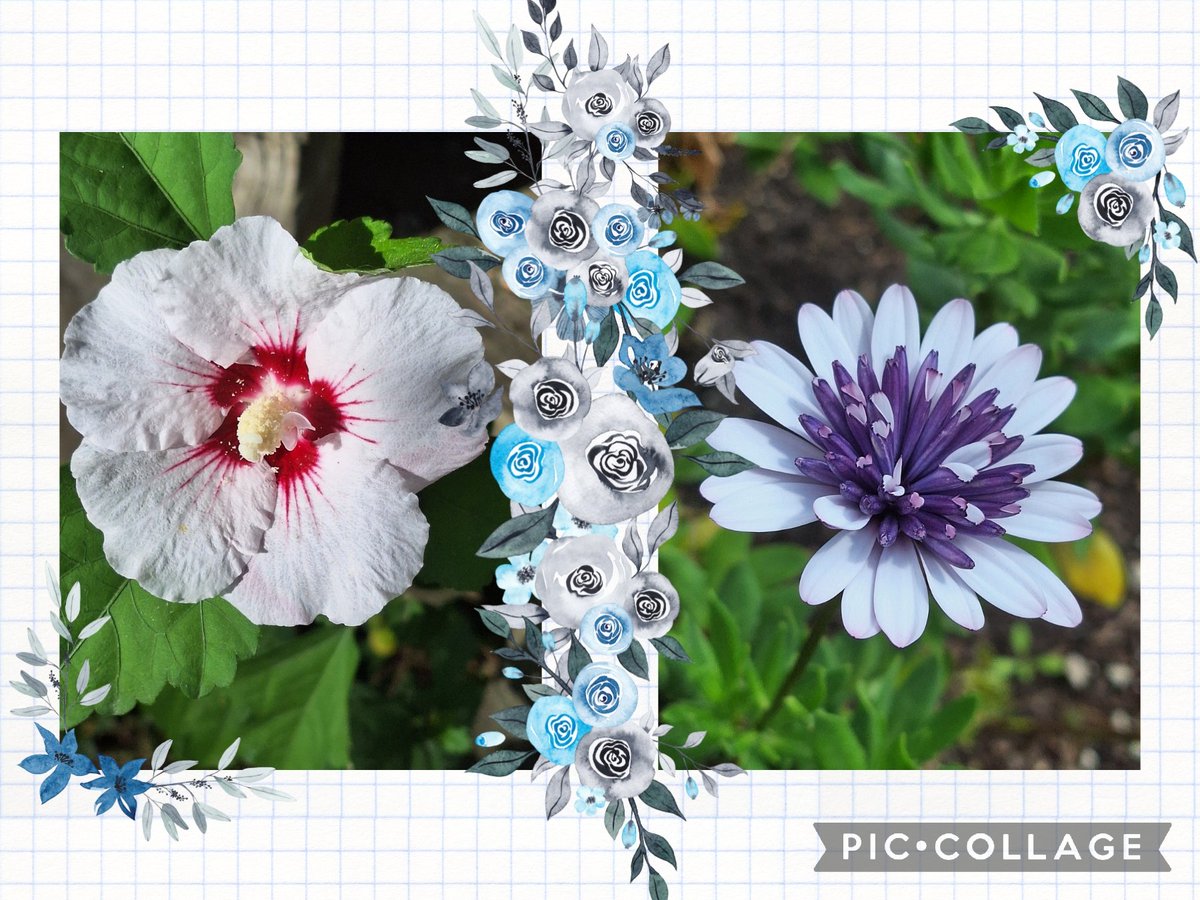 A couple favorites for #FlowersOnFriday #FallFriday as we slide into the #weekend.