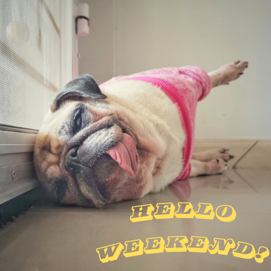 VOGurus's tweet image. #weekend #helloweekend #fridaychill