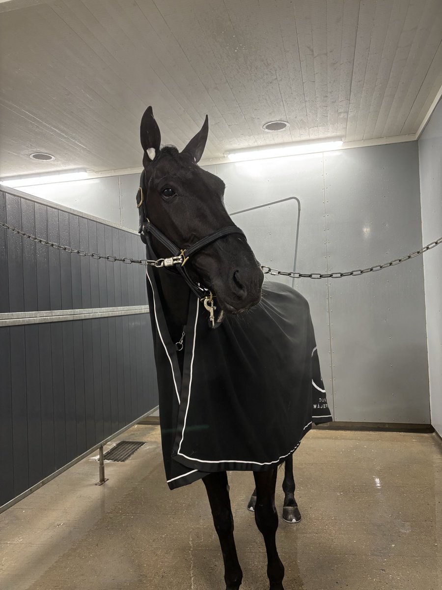 Östersund 21 november vinnare lopp 2, Make Or Break Zaz!

Segertid: 14,2a 2140m
Ägare: Bn Bygg Malmö AB
Skötare: Lisa Gilljam