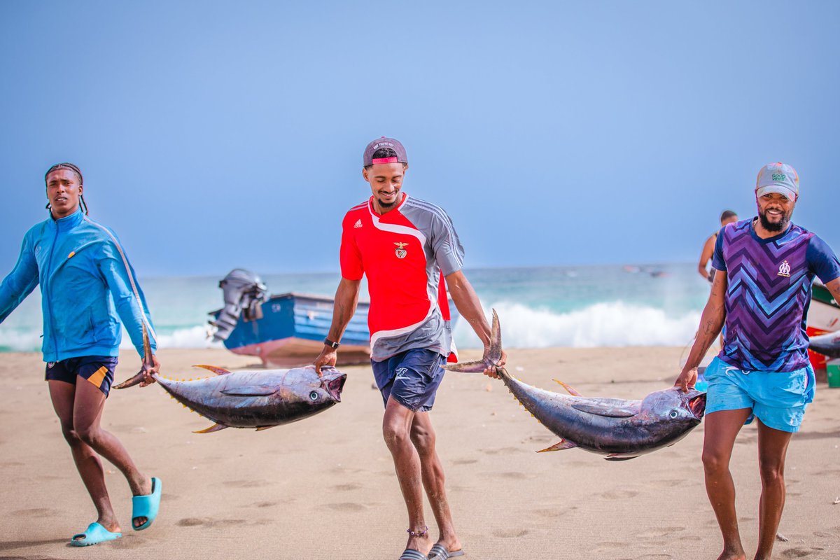 #WorldFisheriesDay 🎣

Since 1975, <a href="/FAO/">Food and Agriculture Organization</a> has been supporting 🇨🇻 fisheries with training &amp; technical assistance for the sustainable development of the sector &amp; the preservation of marine resources.

Side by side with fishermen, fishmongers &amp; the entire fishing community.

#SDG14