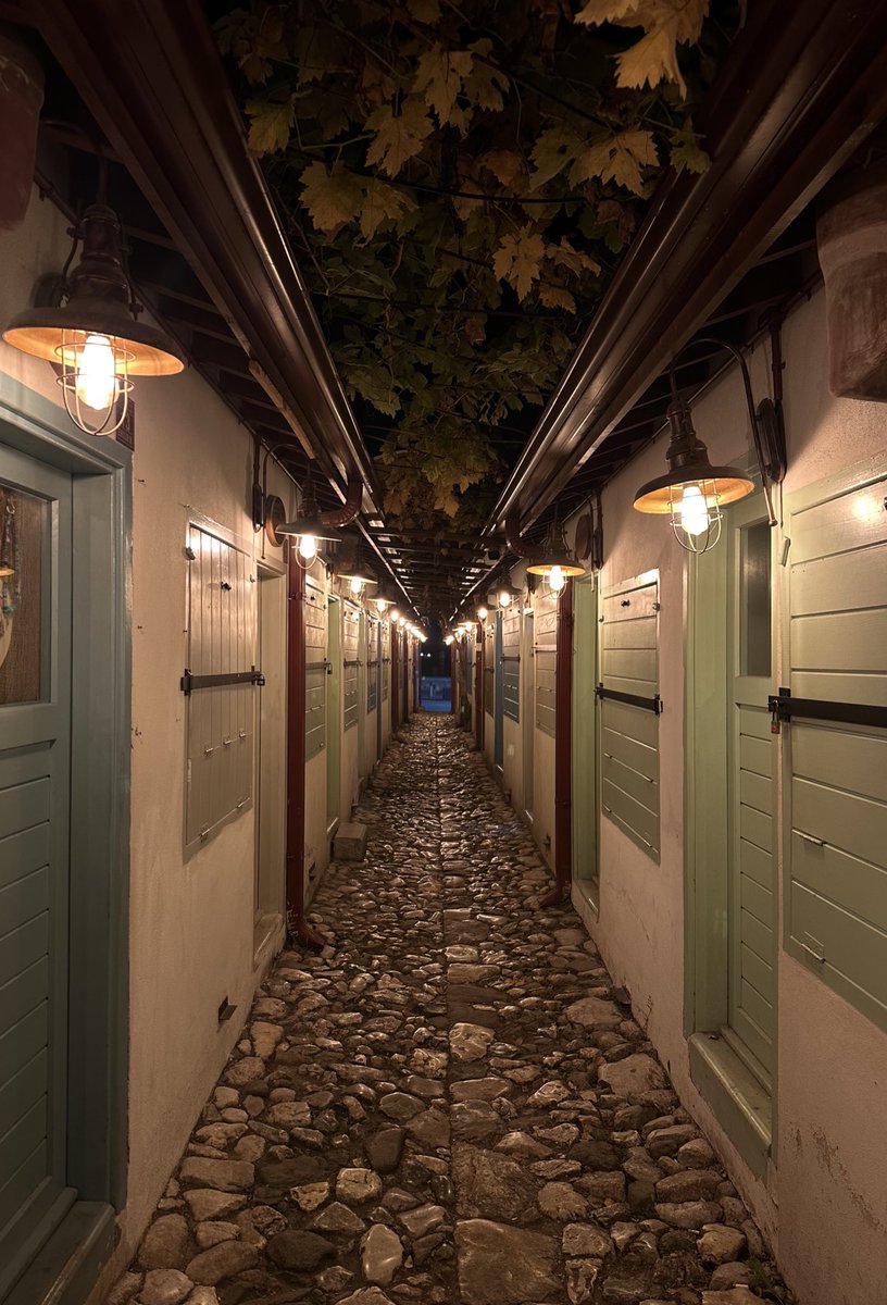 rahinrul🪭✨ (@rahinrul) on Twitter photo 