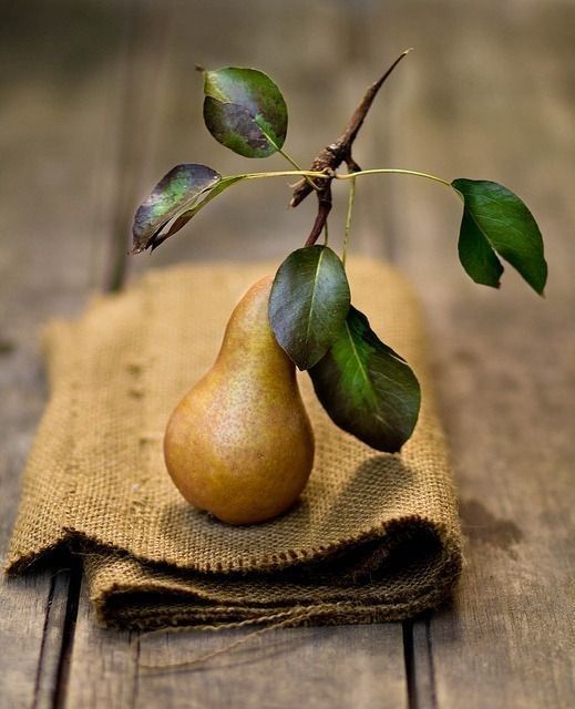 L'autunno oscuro ritorna, pieno di frutti e abbondanza, 

Splendore ingiallito delle belle giornate estive.

Georg Trakl, Sebastian in sogno