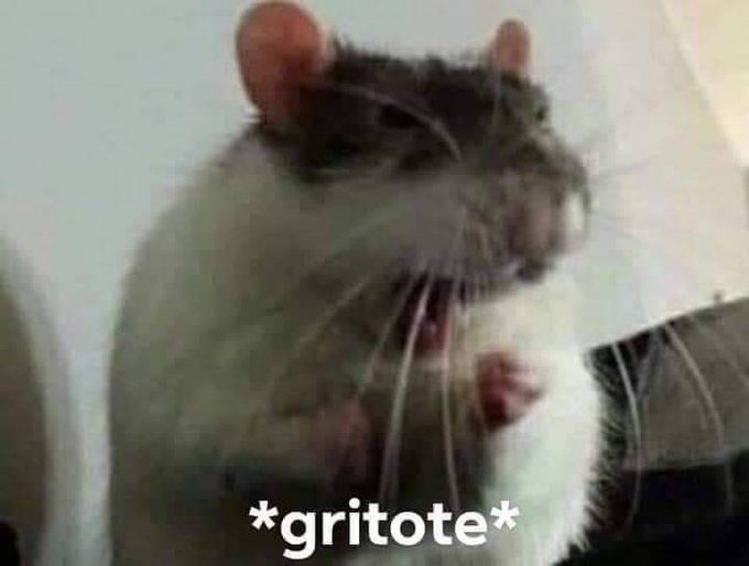Rubi7773's tweet photo. #squidcraft4  @vegetta777 sigue en la competición!!!!!!!!! Vamos !!!!! Llegaremos hasta el final https://t.co/RXEue1c9Hh