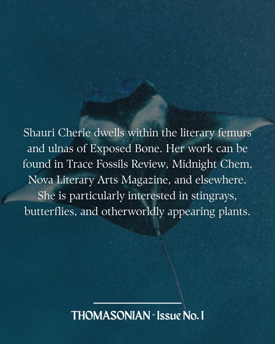 Let’s keep Thomasonian’s Issue One highlights going with a quote from Shauri Cherie’s gorgeous reef manta ray poem, titled “Mobula alfredi.”

Visit thomasonian.com/read for the full piece!