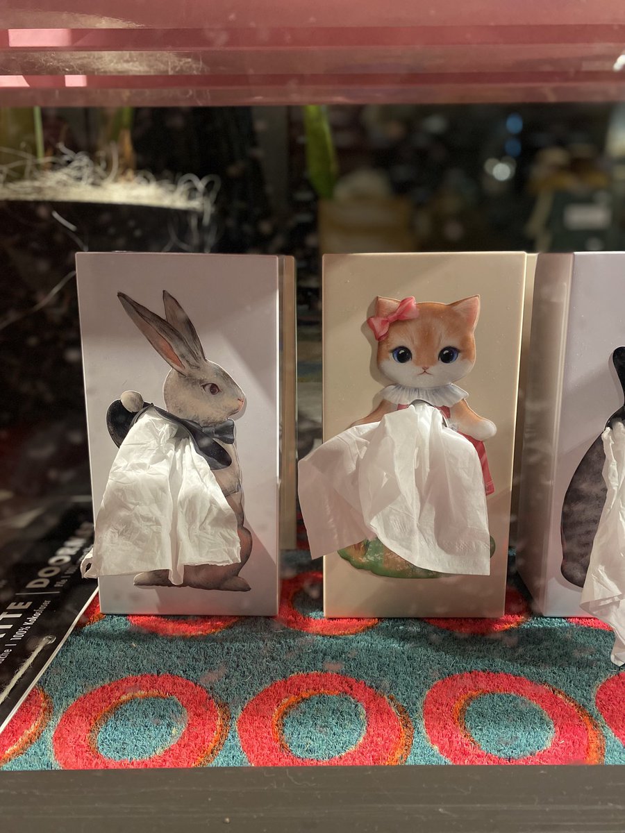 Sonia Zuccaro tweet media