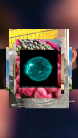 Justin Decheck tweet media