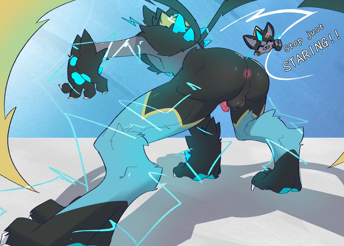 Mega Zeraora 幸福的訓練家視角😇