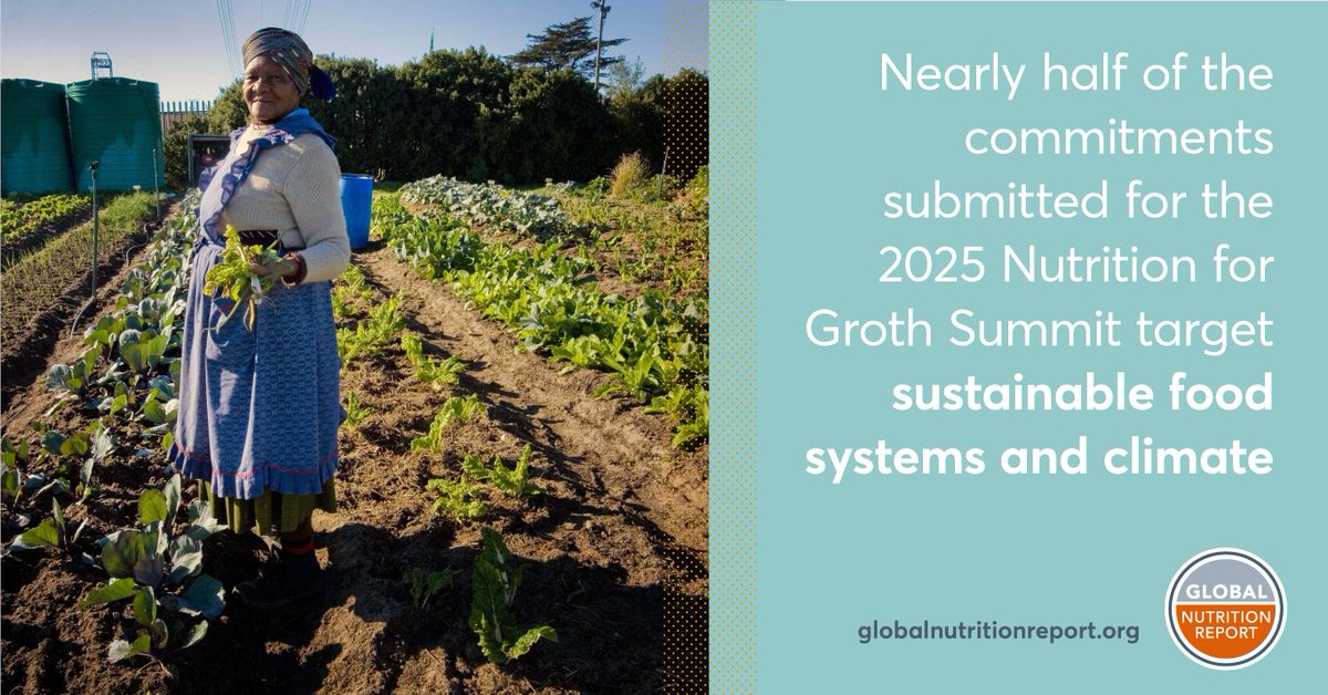 Global Nutrition Report tweet media