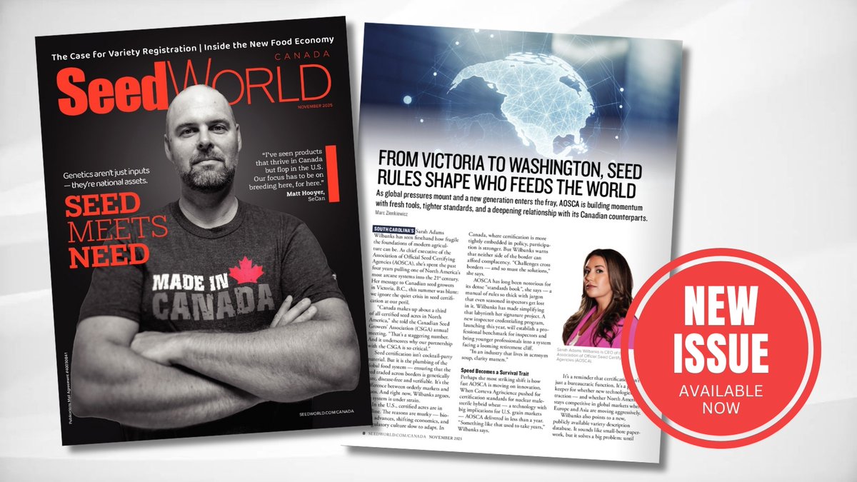 SeedWorldCAN's tweet image. 🇨🇦 Canada = 1/3 of certified seed acres in North America hubs.li/Q03QQR0B0

AOSCA CEO Sarah Wilbanks on Canada&apos;s growing role in shaping seed certification future 🌾

#SeedCertification #AOSCA #CSGA #CanadianAg #SeedStandards