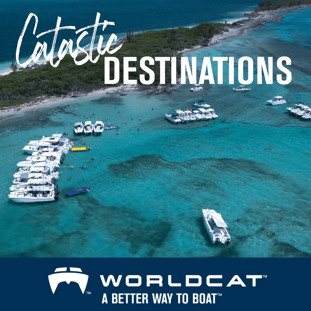World Cat Boats tweet media