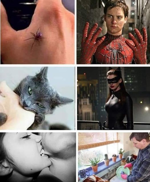 JAVIERCASTRO96's tweet image. No comment... 🙄