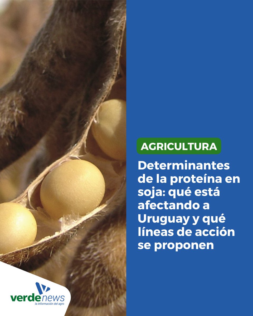 La soja “transformó de forma permanente” el potencial productivo agrícola del país, “nos guste o no”, comenzó diciendo el director de Sistemas Agrícola-Ganaderos del Instituto Nacional de Investigación Agropecuaria (INIA), Sebastián Mazzilli, en la presentación titulada: ¿Cuáles