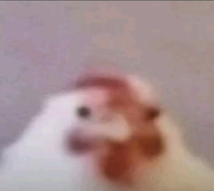 \\:

idk why y'all be liking my posts a month after I left
Y'all had every chance to reach out before then, why now?

fuh'gouttahere widdat shit