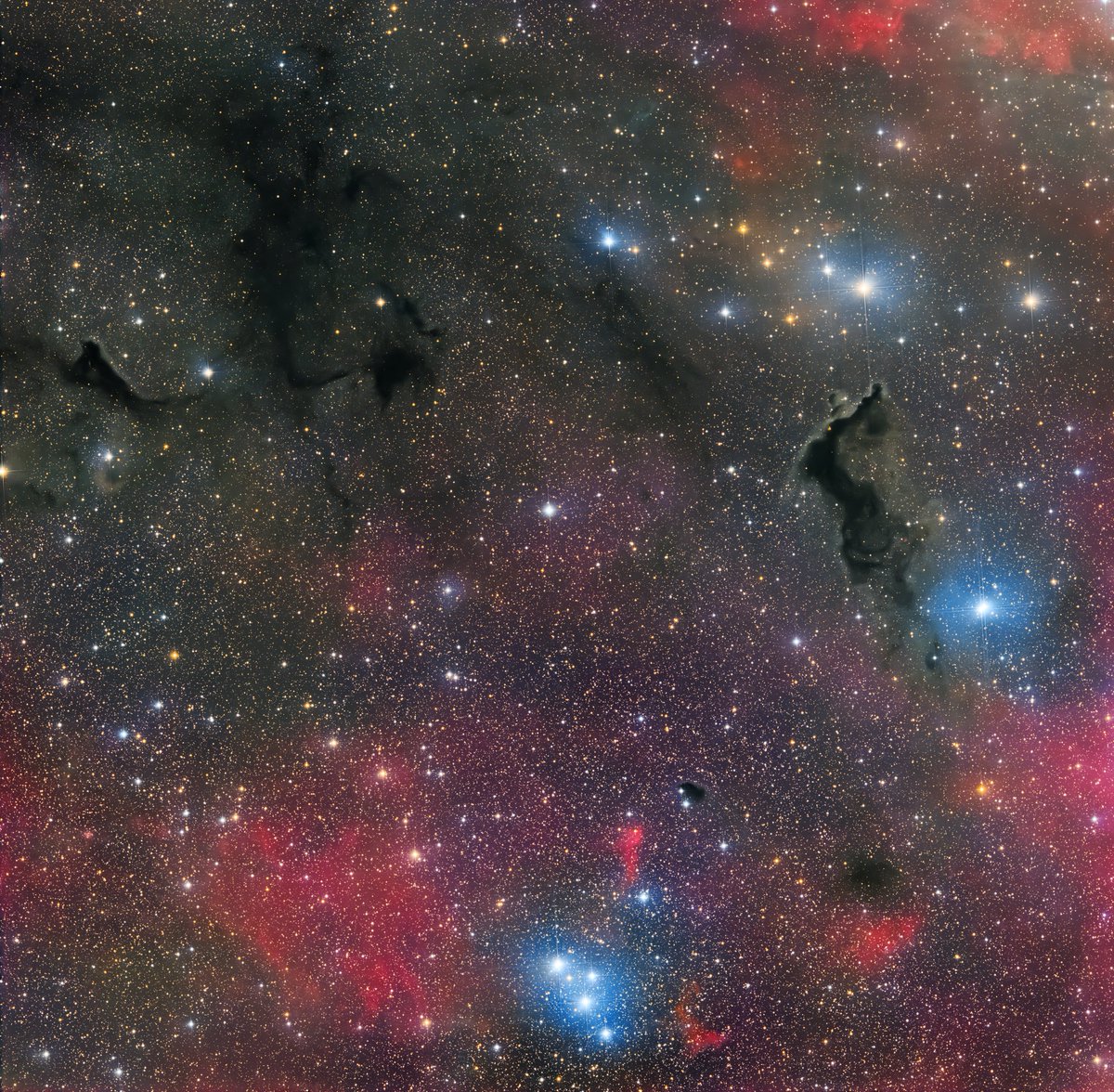 My latest capture - a dark nebula (LDN 1165) and lots of red hydrogen gas.  It's not precisely known how far away LDN 1165 is from Earth, but it is located in the constellation Camelopardalis.  Captured with my Celestron RASA telescope, ZWO ASI533MC camera, and an Antlia L-Filter