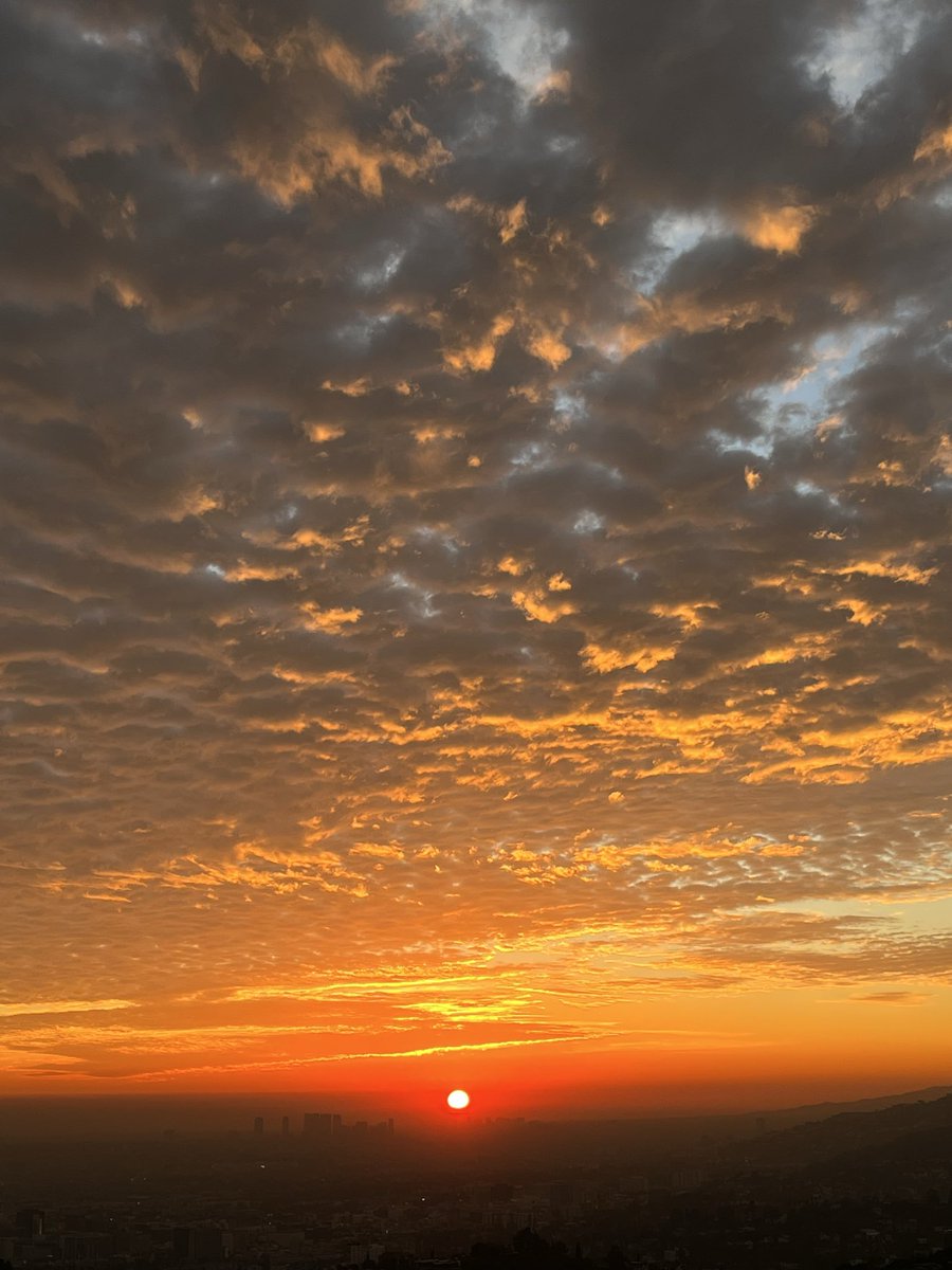 _adistantmemory's tweet photo. Golden hour🫶

#sunset #NaturePhotography #aesthetic https://t.co/uL1c0ArCXD