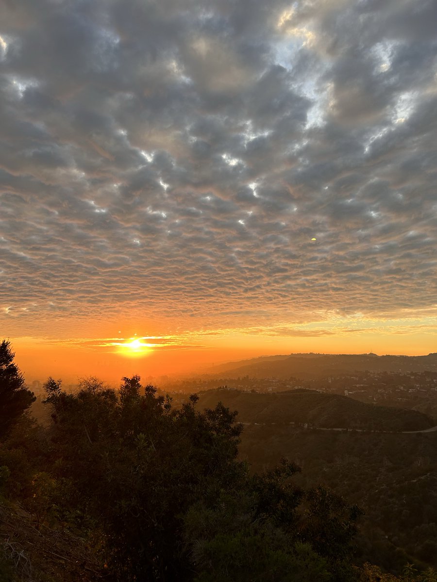 _adistantmemory's tweet photo. Golden hour🫶

#sunset #NaturePhotography #aesthetic https://t.co/uL1c0ArCXD