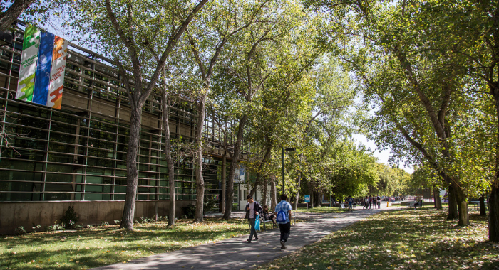 #UCSustentable 🍃| la Pontificia Universidad Católica de Chile, que se ubica en el 3° lugar del Ranking QS de Sustentabilidad, que reconoce a las instituciones de educación superior que impulsan soluciones frente a los desafíos ambientales y sociales. 

🔗Lee la nota aquí:
