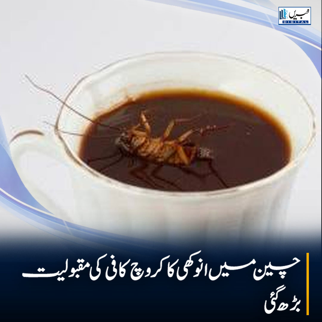 daily_khabrain's tweet photo. چین میں انوکھی کاکروچ کافی کی مقبولیت بڑھ گئی
https://t.co/Ezmn3bLlwI
Tap on the link to read full story 👆
#khabraindigital
#CockroachCoffee #ChinaTrends #UniqueBeverages #WeirdFood #FoodieTrends #ViralDrinks #CoffeeLovers #ExoticFood #BizarreFood #FoodInnovation #TrendingNow https://t.co/4JFx7xpg04