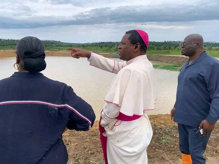 exaucendombasi4's tweet photo. #KongoCentral| le groupe #Ledya se lance dans la pisciculture au village Luangu dans le territoire de Madimba.
Dans trois mois, la société compte atteindre une capacité de production mensuelle de 5.000 tonnes de poissons. https://t.co/zmRamyZmMK