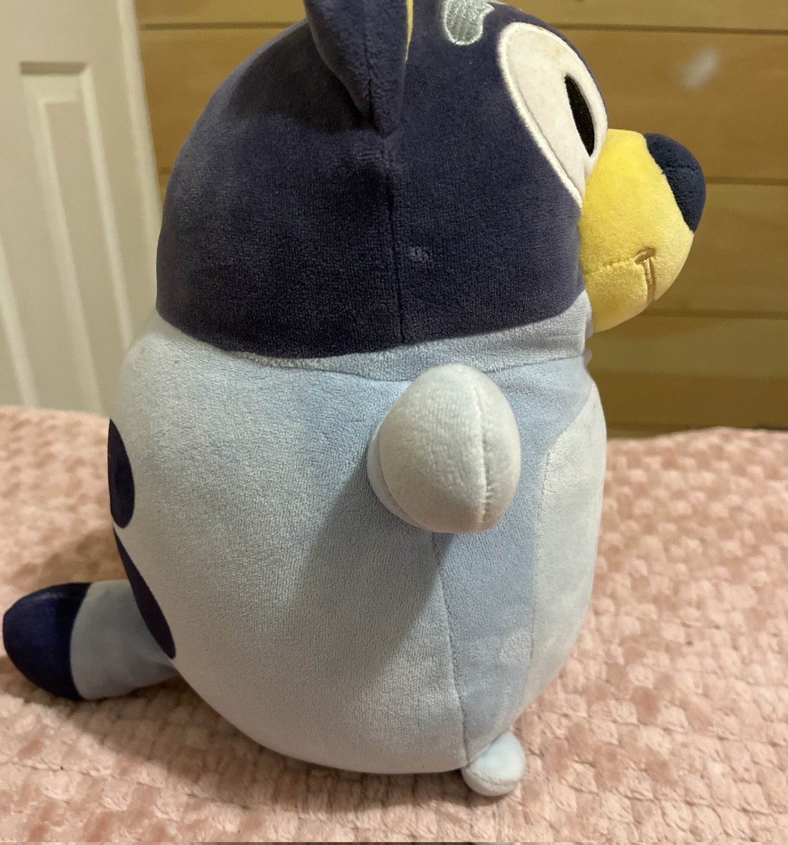 _fishtrash_'s tweet photo. lo perdió, lo encontró de nuevo y está JOROBADISIMO https://t.co/QCjTBv26tV