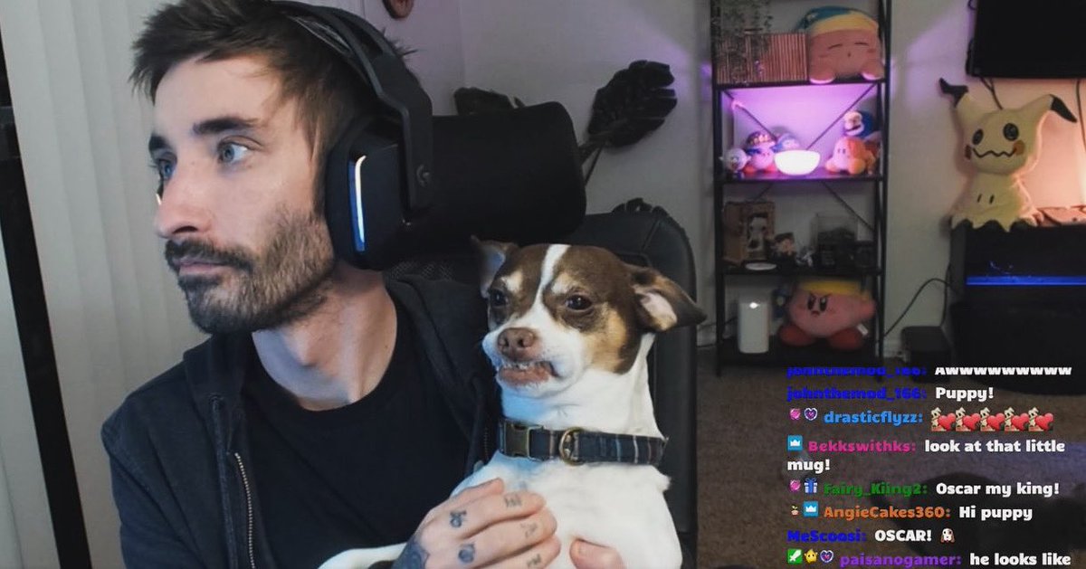 Miinty__'s tweet image. COME HANGOUT AND STUFF🙏🏼

🟣twitch.tv/miintytv