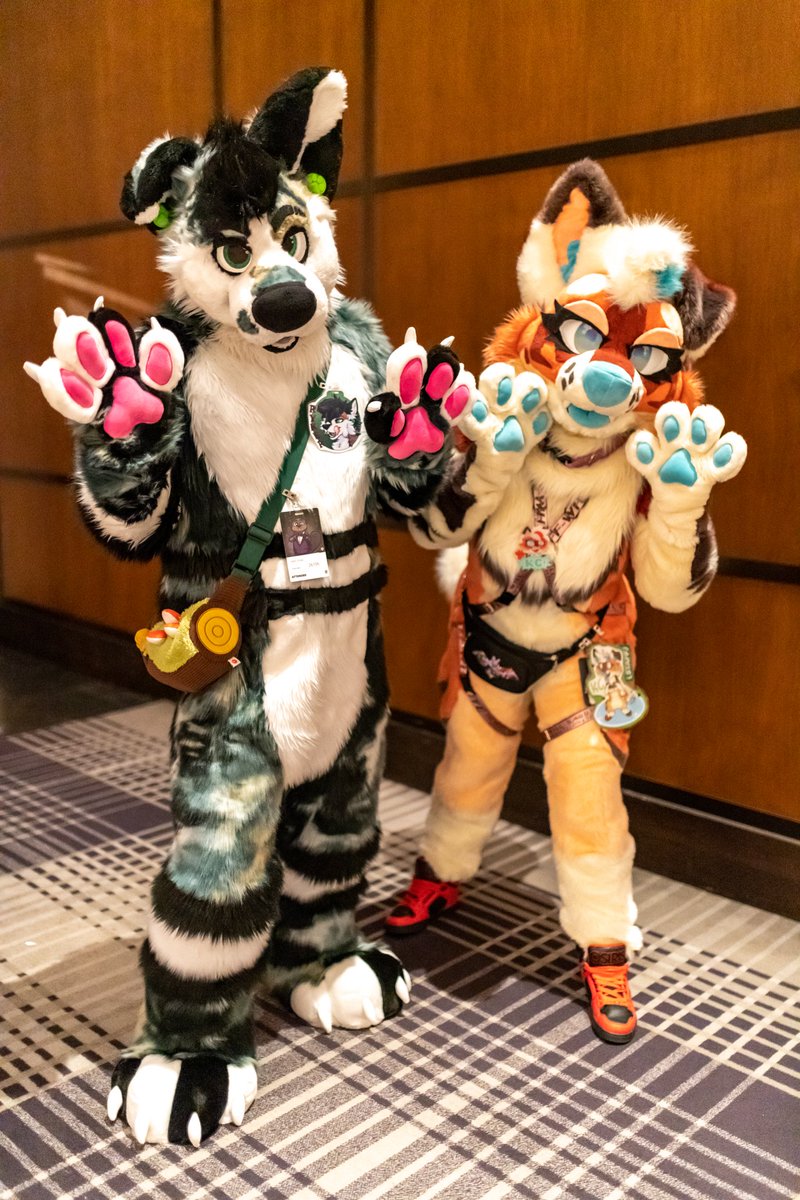 Haunted_Phantom's tweet photo. Floppy ears are the best!! 

🐶 @RykerMutt 
🎀 (me) 
🪡 @Paws_and_Maws 
📸 @ShiningCastor 
#fursuitfriday https://t.co/Ts01cBXwD3