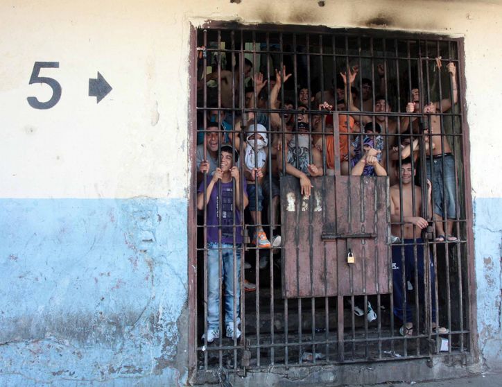 BoricTheidiot's tweet image. Nos siguen llegando imagenes del "Comando de Jara" 😂💩