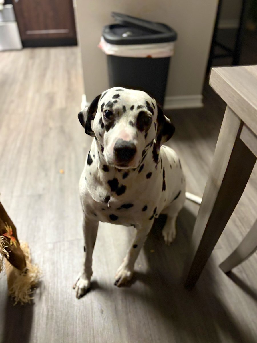 he missed his momma 🥺❤️