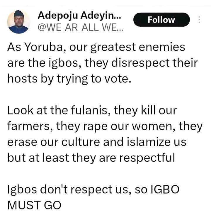 Voiceofigbos's tweet image. Igbo will continue to be their problem