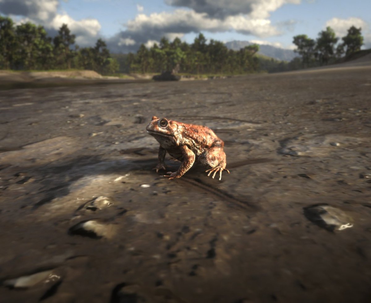 Vanill4Waffles's tweet photo. 🧇 a CRAB 🧇

#ArthurMorgan #rdr2fanart #rdr #rdrtwt #rdr2 https://t.co/yT56Ywy8GG