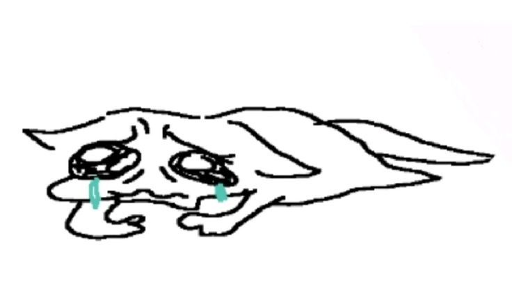 Todos salganse de twitter, quiero estar sola