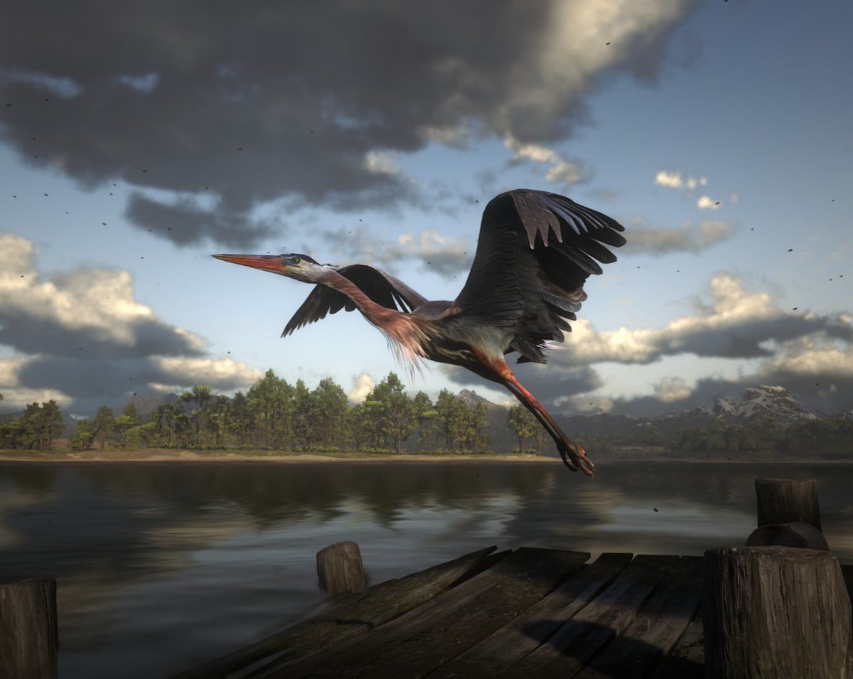 Vanill4Waffles's tweet photo. 🧇 birds...🧇

#ArthurMorgan #reddeadredemption #rdr2 #rdrtwt #rdr https://t.co/Wp7TJ3skhx