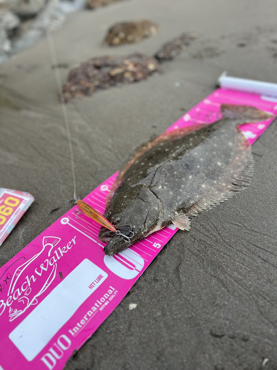 shun.mon tweet media