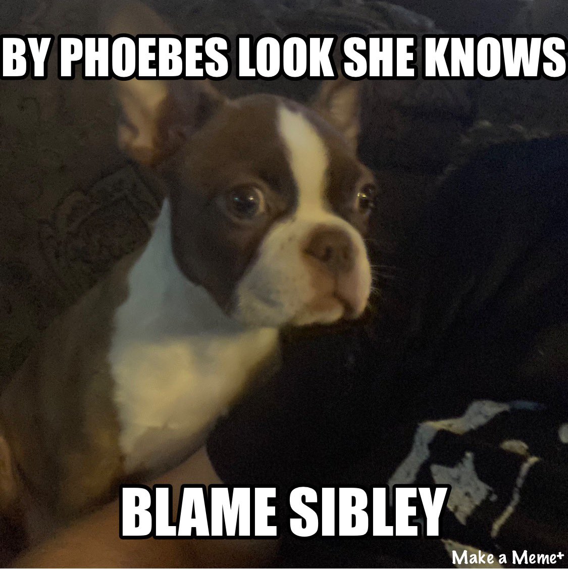 youtube.com/post/UgkxkTdEx… via <a href="/YouTube/">YouTube</a> <a href="/mnsibley/">Mark "Buttons" Sibley</a>