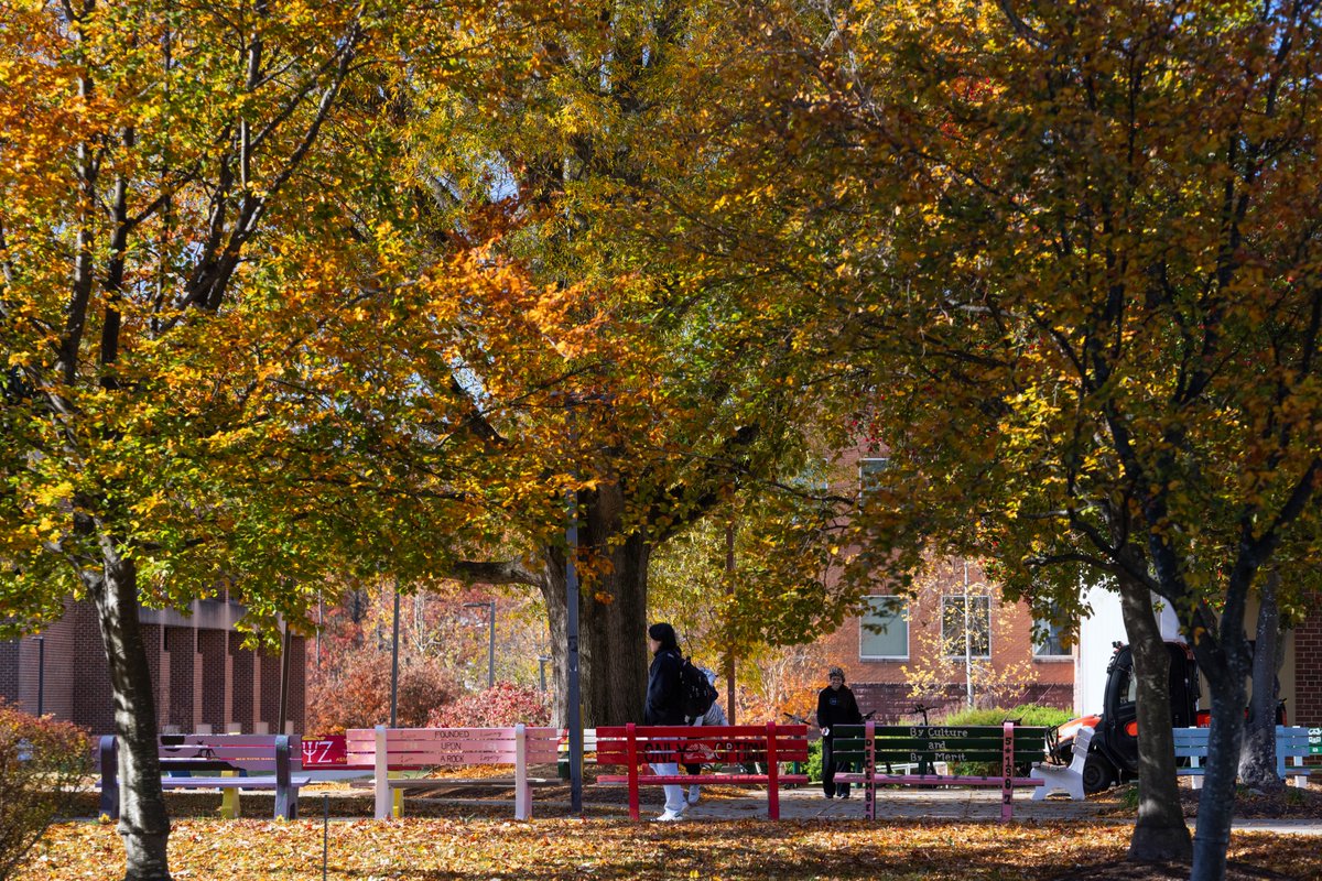 Costello_Biz's tweet image. Thinking about applying to @Costello_Biz?

Schedule your campus visit today &amp;amp; discover what makes the @GeorgeMasonU #StudentExperience #AllTogetherDifferent.

Get to know our community in #NorthernVA: ow.ly/vgOh50Xw2To

#CostelloMeansBusiness #GeorgeMasonUniversity