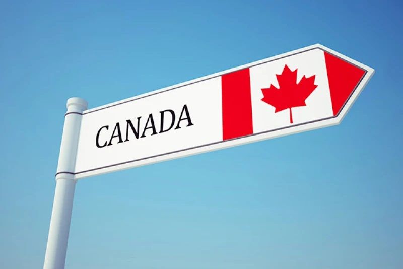 eDairyNews's tweet image. The Supply #Management Fortress: Why #Canada’s #DairyIndustry Thrives. Read the News 👉 buff.ly/LHIu57P