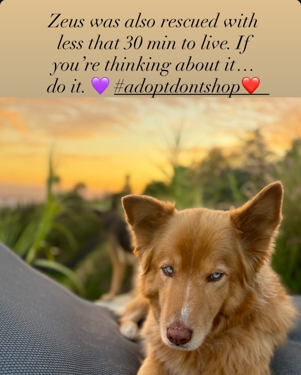 we all need to d1e actually