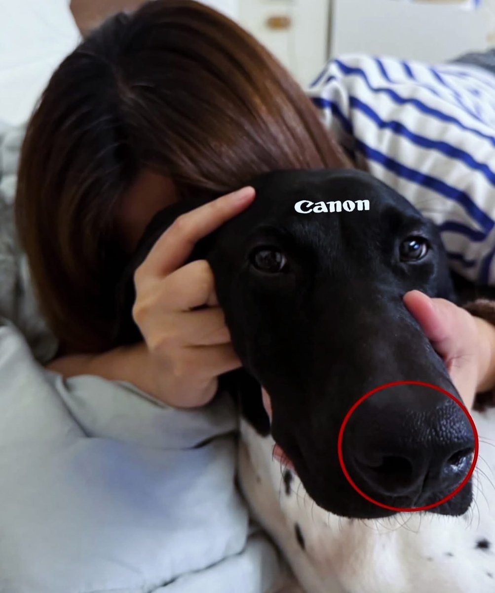 Loser (@ze_castle) on Twitter photo 