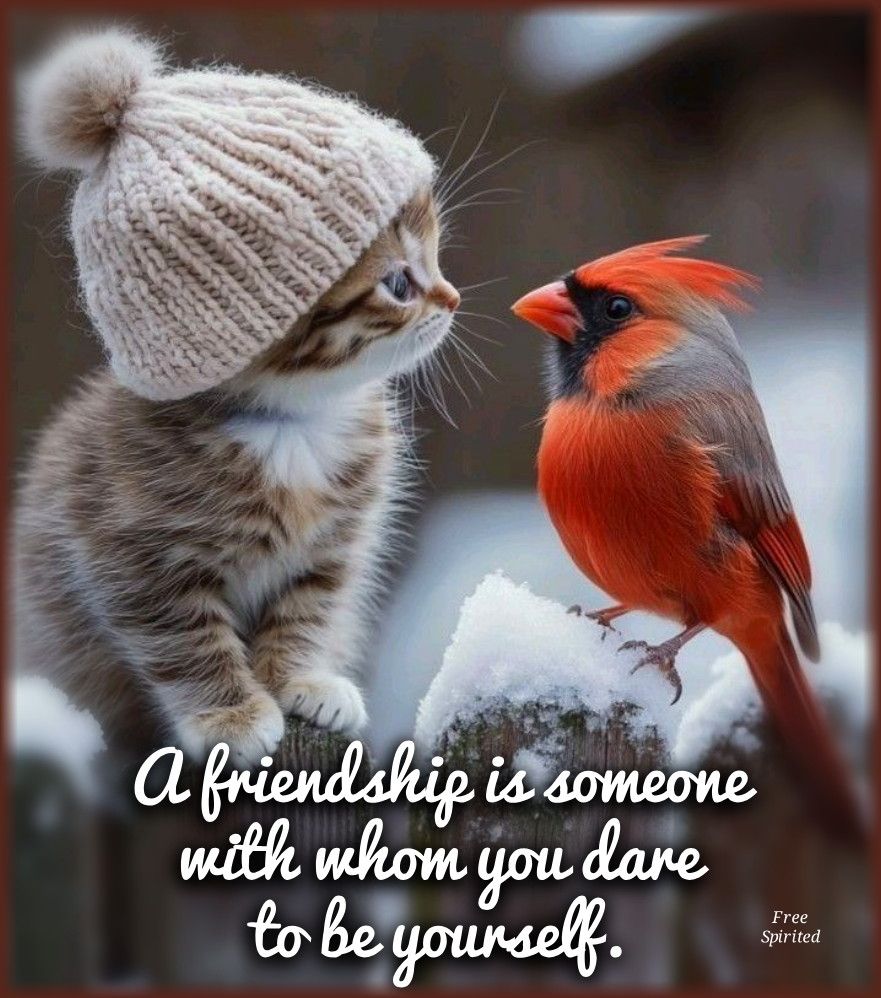 Inspiration & More tweet media