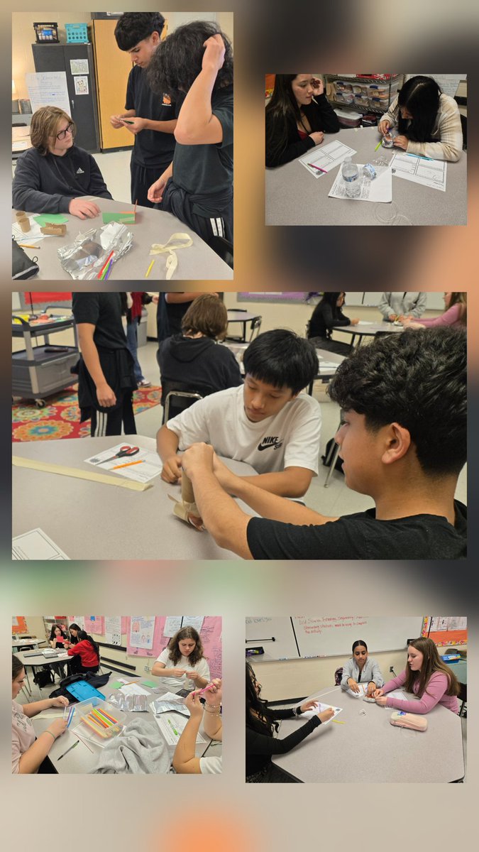 SHS Teaching as a Profession🍎 tweet media