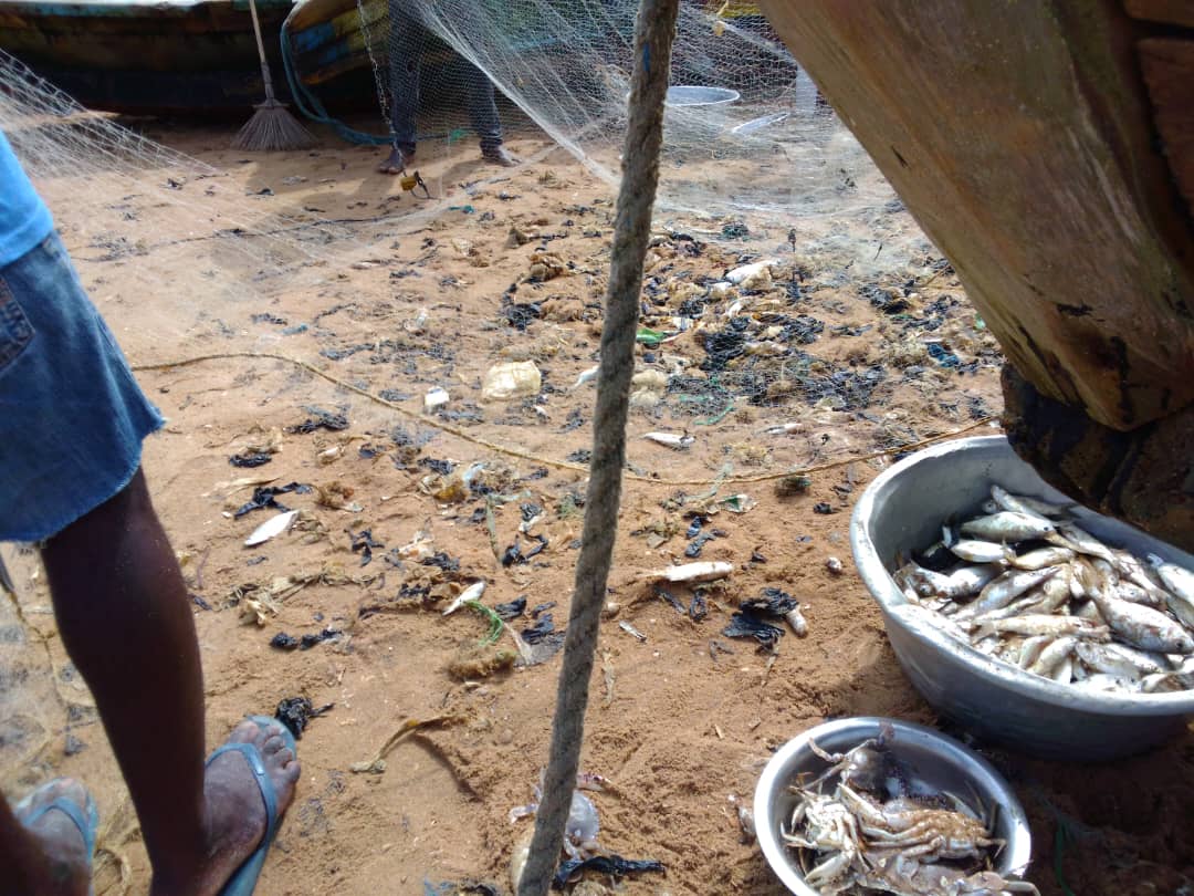 Monsieur Vick tweet media