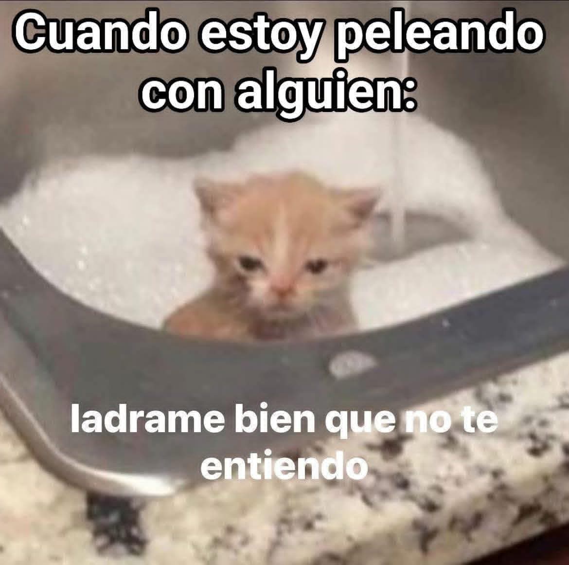 SangreCon's tweet photo. #FirstDates21n Dice que vivir solo es triste... el triste eres tú https://t.co/HoKqMyhiiU