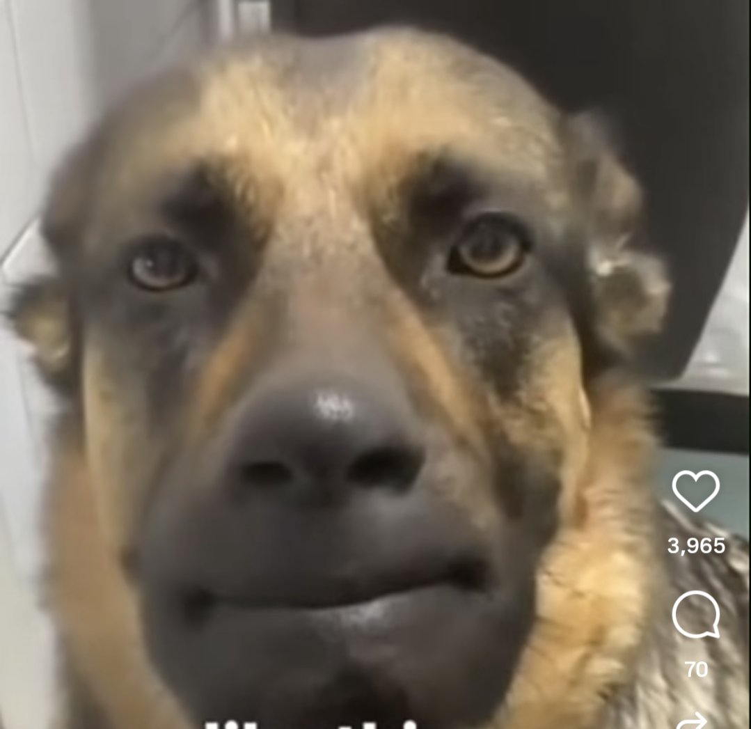 breadf00's tweet image. 