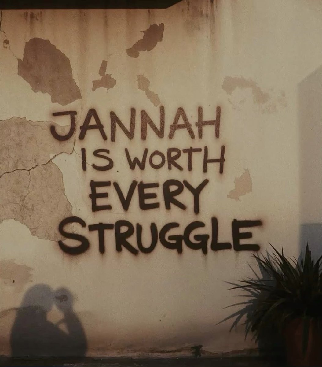 JiD4A's tweet image. 