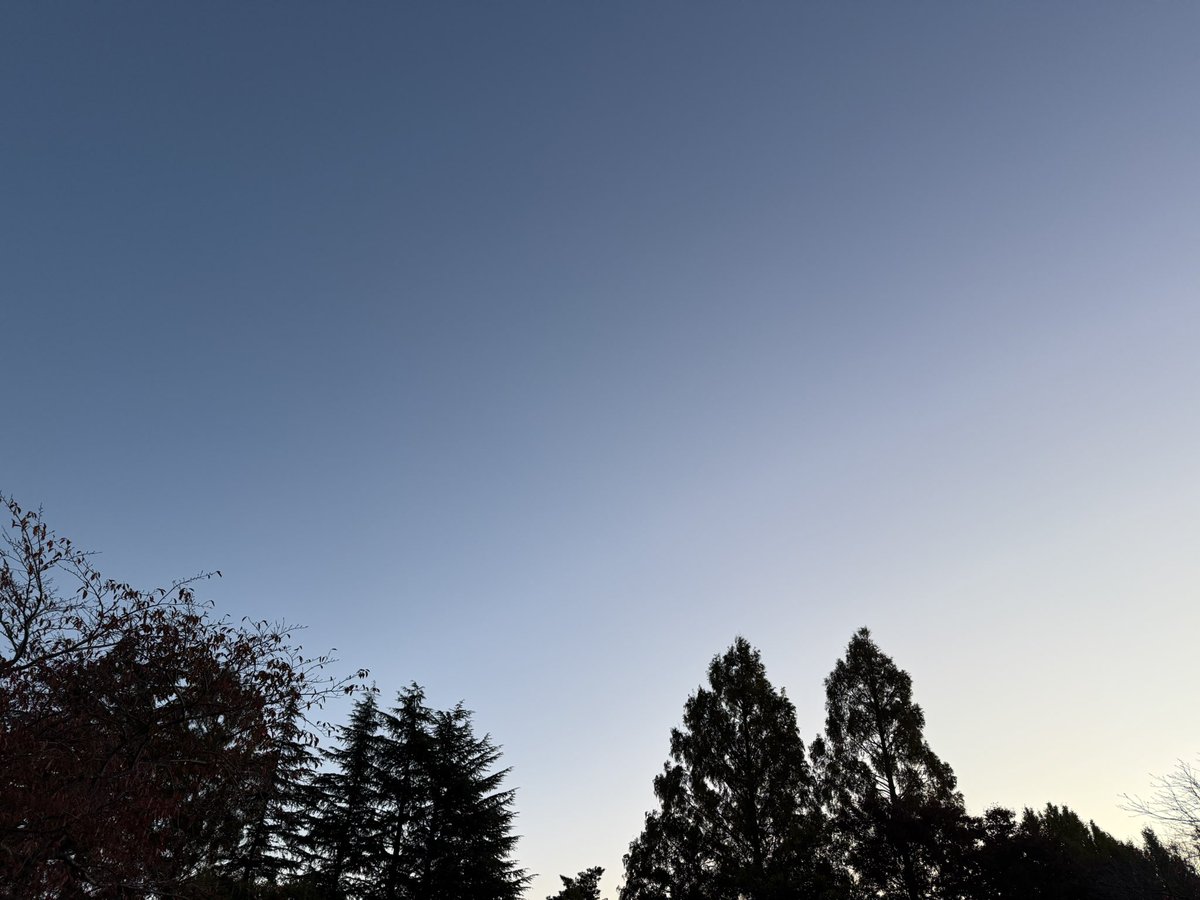 MSP_PiPi_san's tweet image. おはようございます☀
#イマソラ #ランニング #朝ラン #マラソン