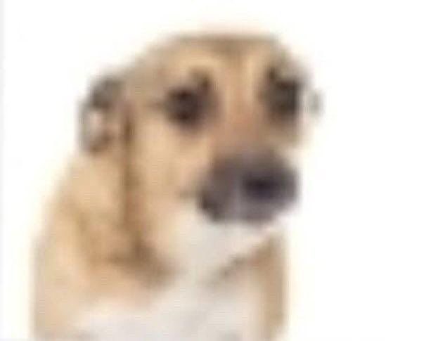 tarotdacereja's tweet image. esses dias tirei no tarot em quanto tempo eu ia conseguir uma coisa e saiu a temperança e o eremita fiquei exatamente assim que raiva